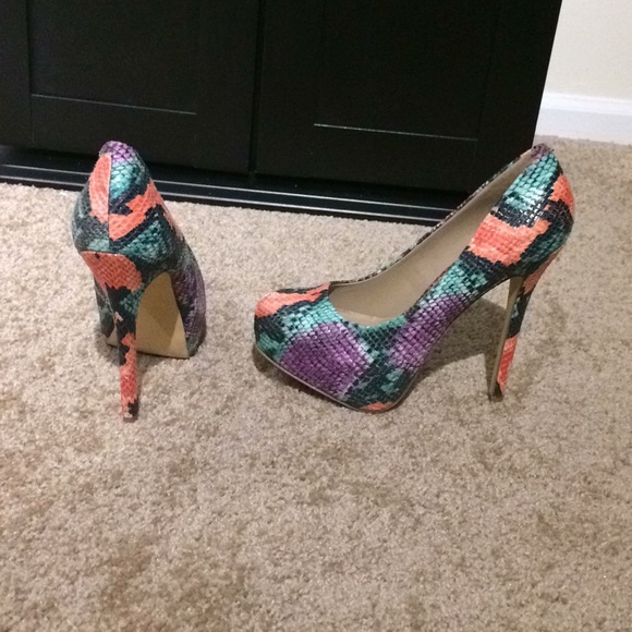 Colorful Steve Madden Snake Skin 